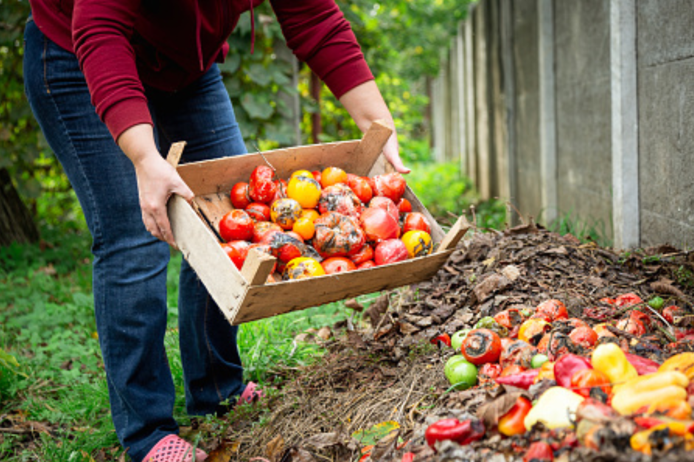 Tips for Reducing Food Waste